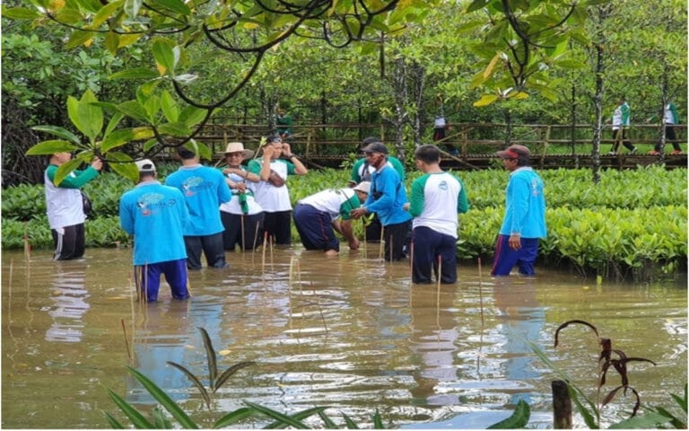 Pendidikan Mangrove di Bangku Sekolah