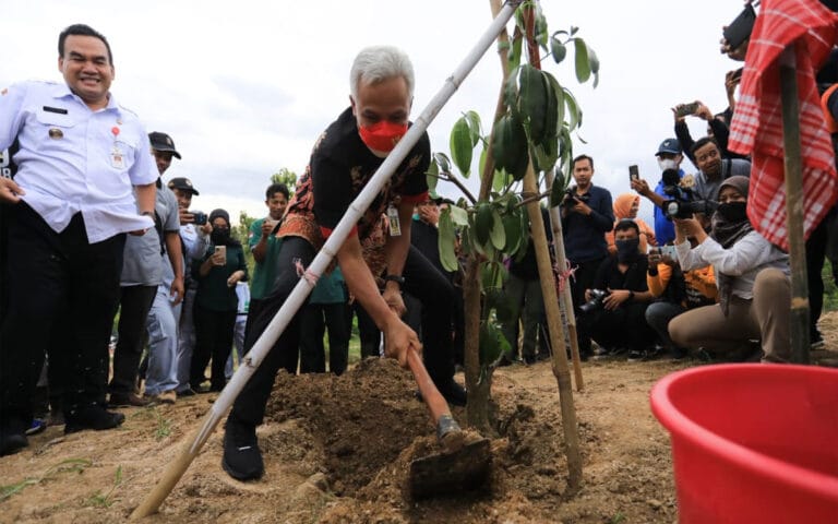 Ganjar Tanam 1.000 Pohon di Lahan Kritis Bukit Serut Blora