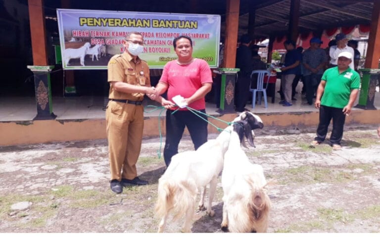 Warga Kurang Mampu Gladagsari Dapat Hibah Kambing Dari Pemdes