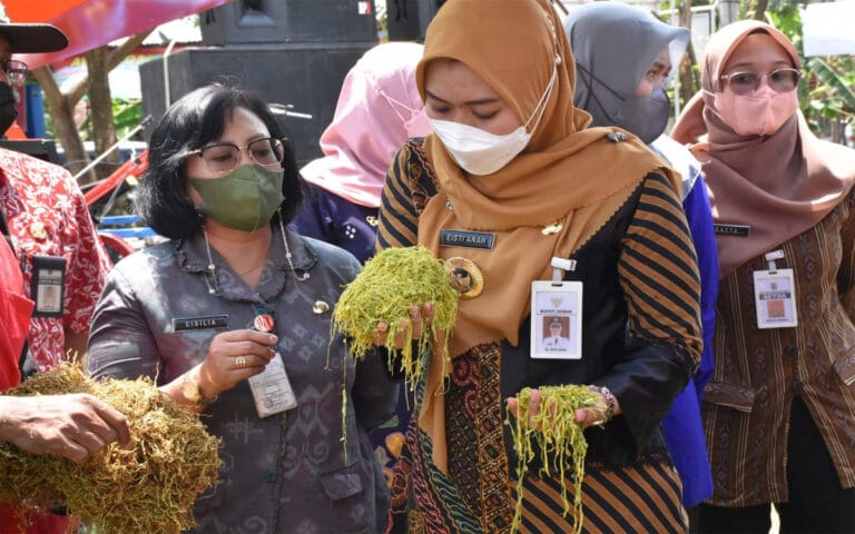 Pemkab Demak Dorong Peningkatan Kualitas Tembakau Petani