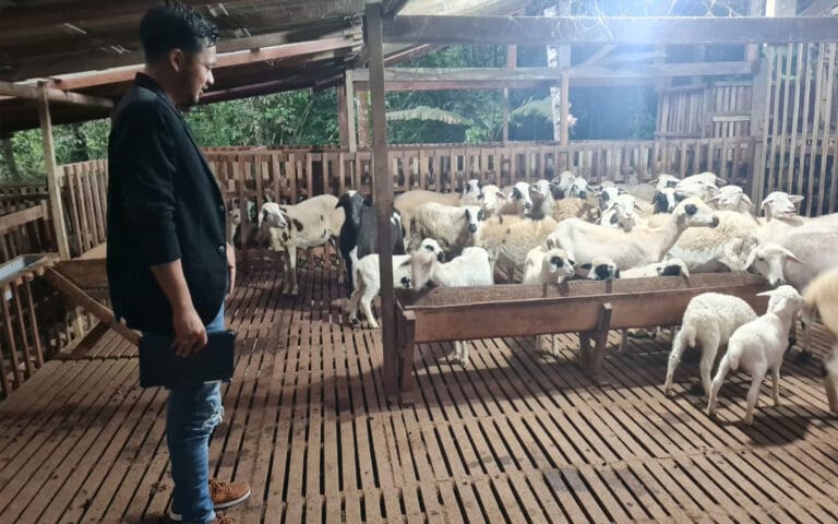 Peternak Modern Rayndra Kini Buka Sekolah Petani Milenial
