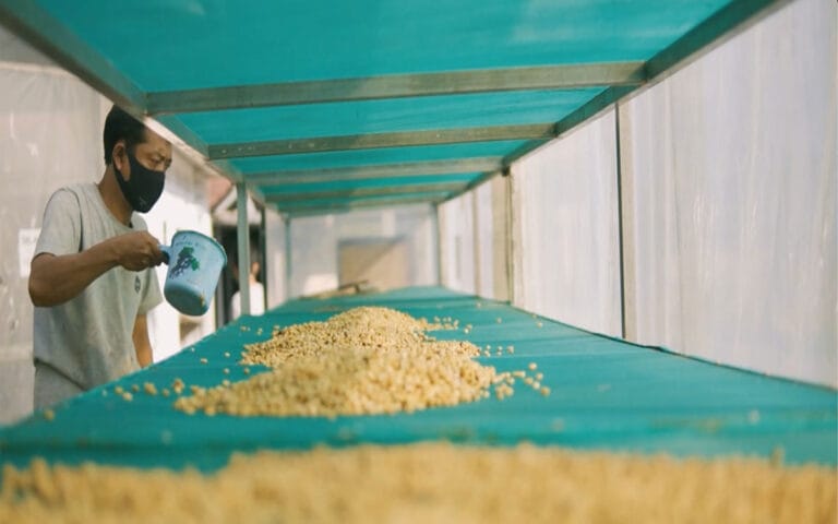 Dorong Peningkatan Ekspor Kopi, LPEI Perkuat Dukungan Melalui Klaster Desa Devisa Kopi