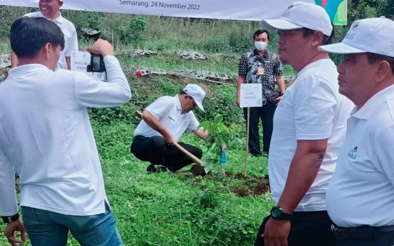 Ampelgading Bakal Dijadikan Sentra Alpukat