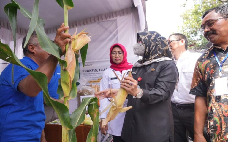Jadi Lumbung Beras Nasional, Bupati Klaten Dorong Petani Wujudkan Mandiri Pangan