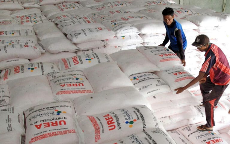 Pupuk Bersubsidi Hanya Dapat Ditebus Di Kios Resmi