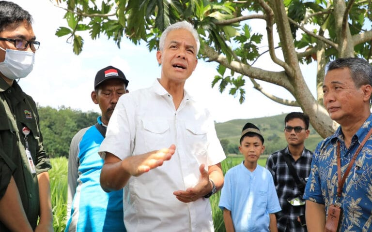 Ganjar Prihatin Pegunungan Kendeng Banyak Jagung Dibanding Tanaman Keras