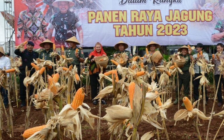 Pemkot Semarang Bersama TNI Panen Raya Jagung