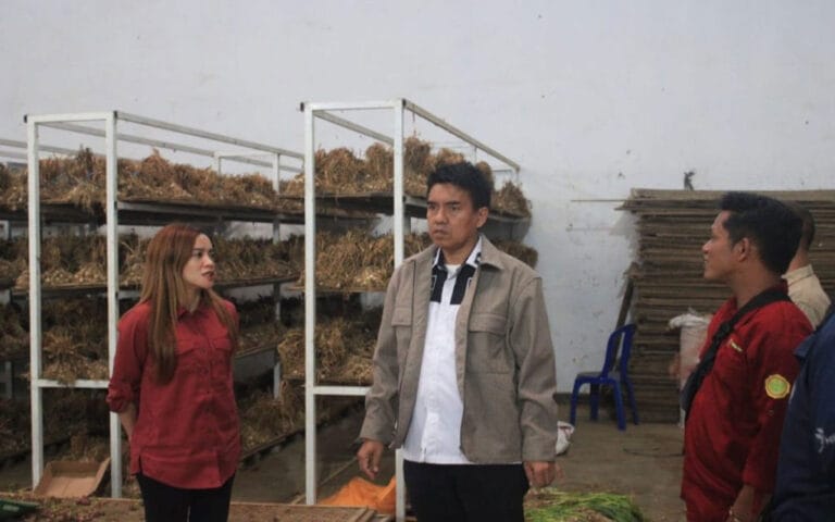 Kementan Jamin Stok Bawang Merah dan Putih Aman Hingga Lebaran