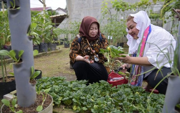 Tim Verifikasi PPD Jateng, Apresiasi Inovasi Urban Farming Kota Semarang