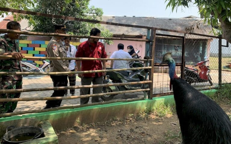 Semarang Zoo Siap Sambut Liburan Lebaran