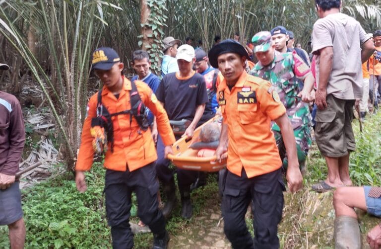 Tersesat di Kebun Salak Kakek 70 Tahun Ditemukan Tim SAR Gabungan