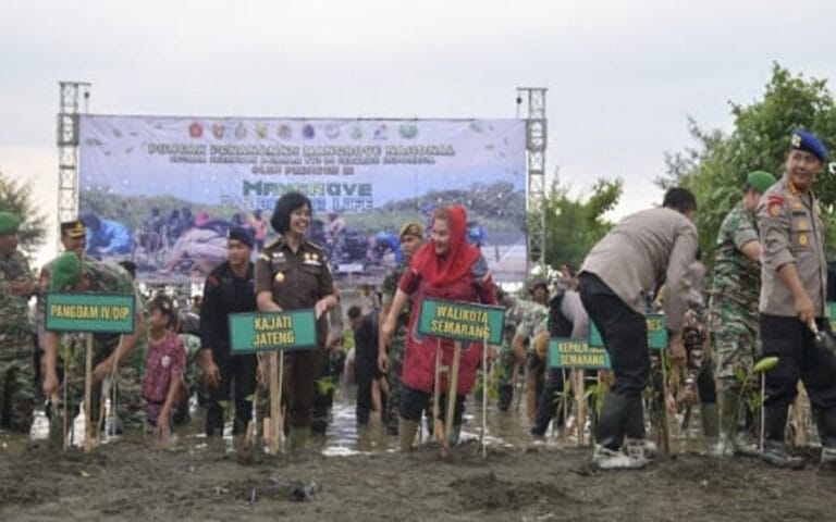 Sikapi Cuaca Panas, Mbak Ita Galakkan Penghijauan dan Perbanyak Taman Pasif