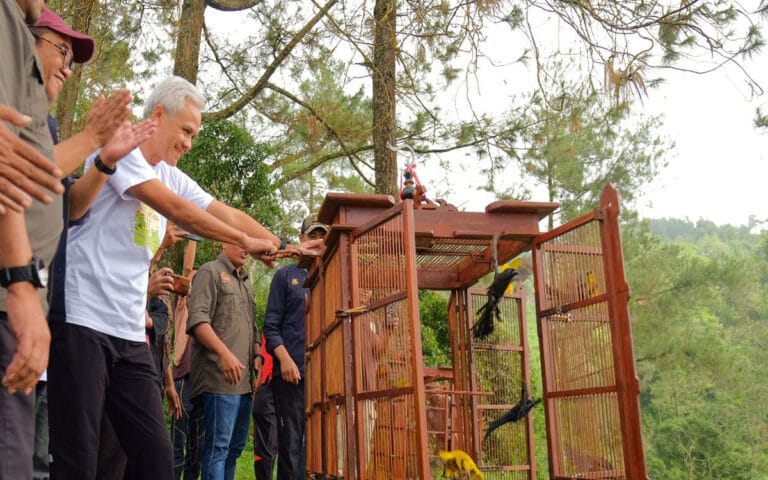 Peringati HUT Majestic-55 Dengan Tanam 200 Bibit Pohon dan Lepaskan 44 Burung di Gunung Ungaran