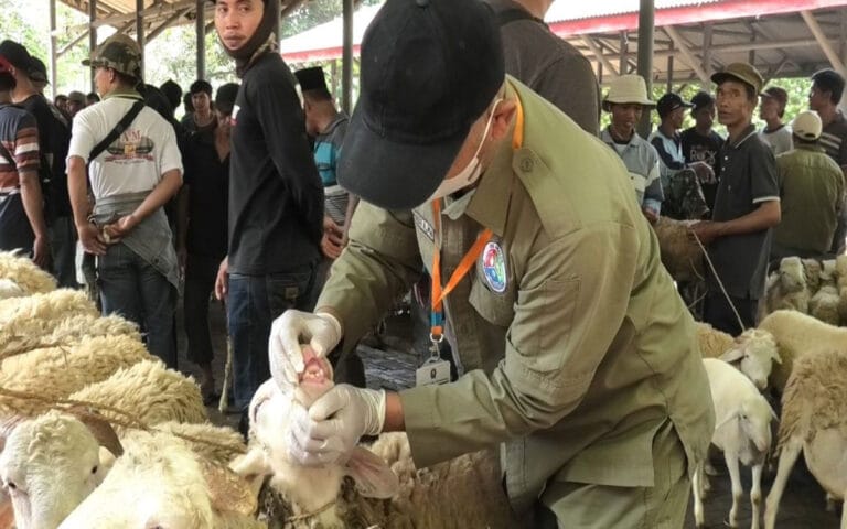 Jelang Idul Adha, Temanggung Perketat Pengawasan Hewan Kurban