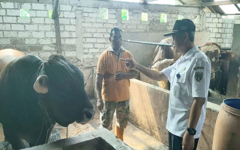 Jelang Iduladha, Stok Hewan Kurban di Rembang Melimpah