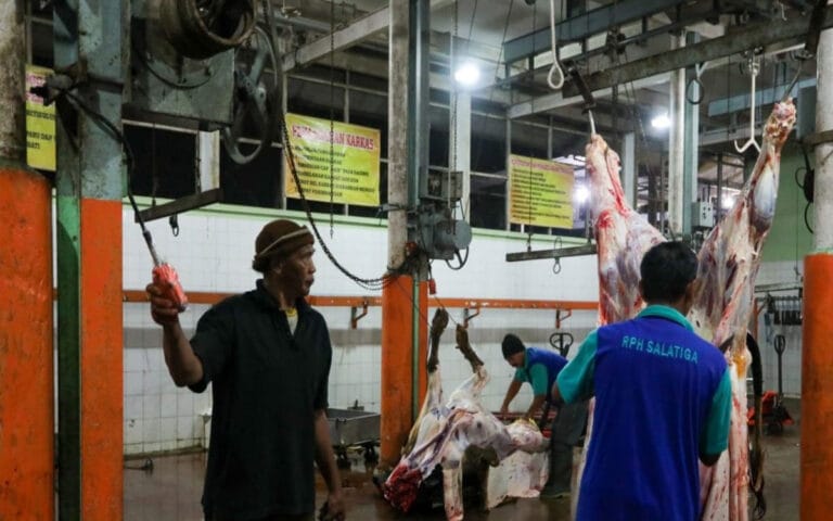 Bersertifikat Halal, Ganjar Makin Mantap Sembelih Sapi di RPH Salatiga