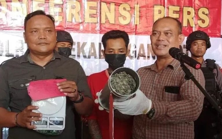 Polres Pekalongan Tangkap Pengedar Ganja 1,8 Kilogram