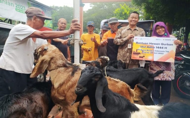 SBI Bagikan Sebanyak 21 Ekor Hewan Kurban
