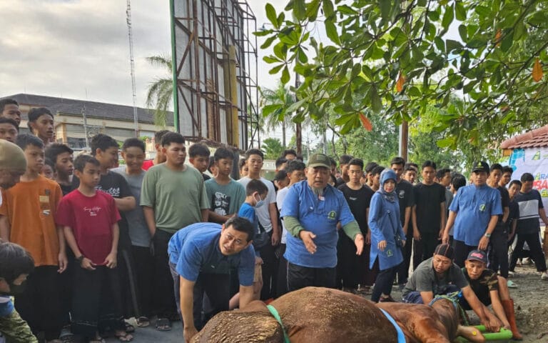 Sembelih 65 Hewan Kurban, Pondok Pesantren Assalaam Ajarkan Santri Berbagi