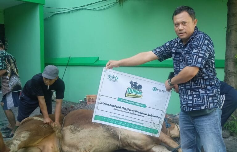 Prabowo Kirim Satu Ekor Sapi ke PWNU Jateng