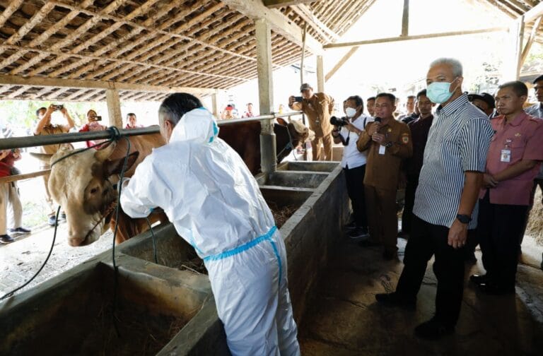 Ganjar Cepat Antisipasi Penyebaran Antraks, Serbu Vaksinasi Ternak