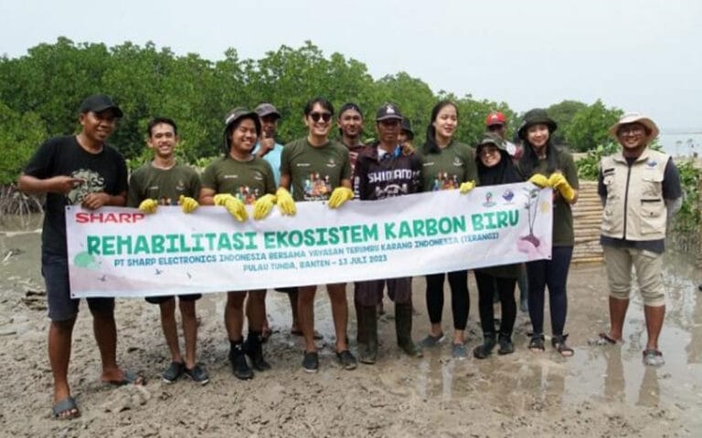 Peringati Hari Mangrove, Sharp Lakukan Rehabilitasi Ekosistem Karbon Biru Tanam 3.300 Pohon