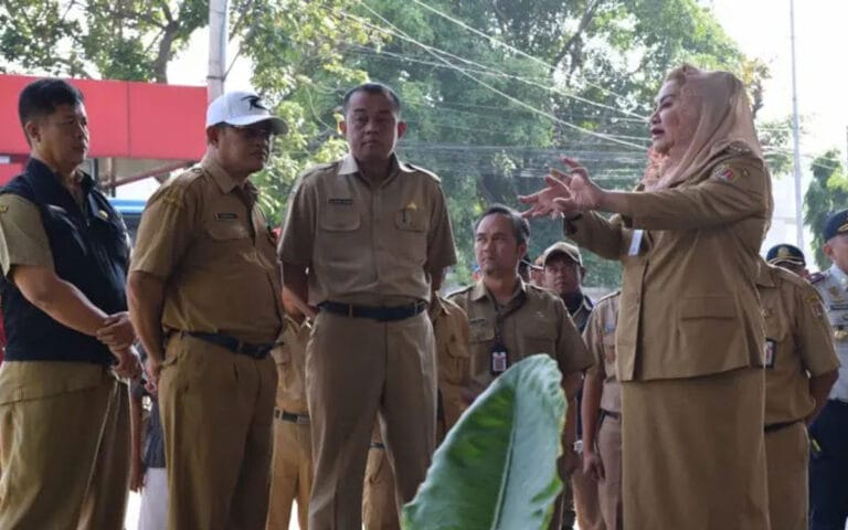 Dampak El Nino, Ita Berikan Perhatian Perawatan Taman Kota
