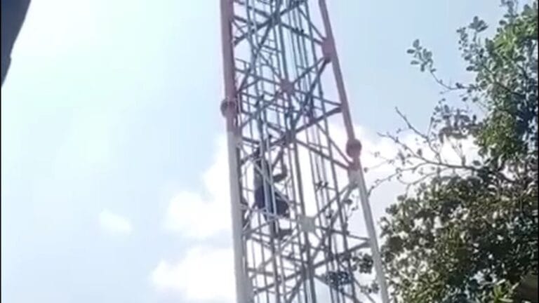 Buat Warga Geger Pria Diduga ODGJ Panjat Tower Seluler Setinggi 50 Meter