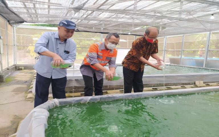 Hingga Akhir 2023, SBI Optimistis Pertahankan Kinerja Positif