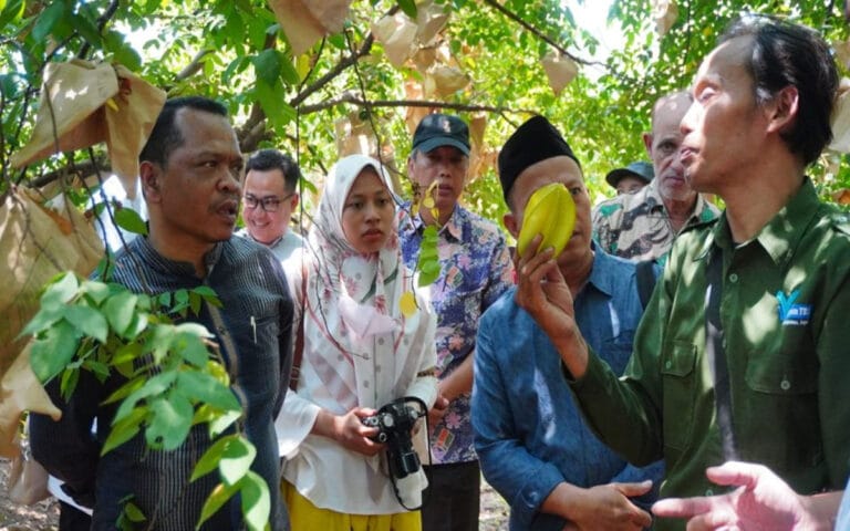 Festival Belimbing Jingga, Angkat Ikon Buah Khas Jepara