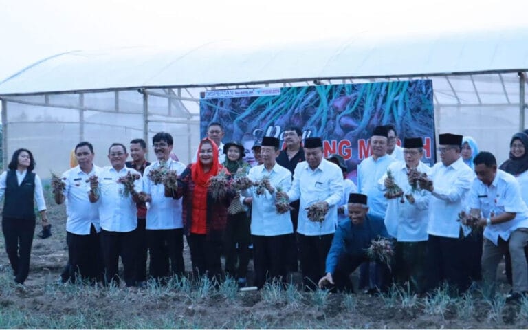 MAJT Jadi Contoh Urban Farming Lingkungan Masjid di Kota Semarang