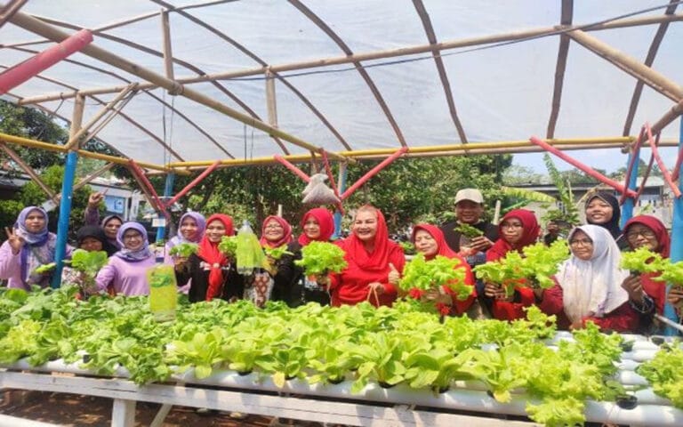 Program Petani Milenial Semarang Segera Diluncurkan