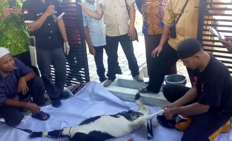 Jelang Idul Adha Pengurus Masjid Kota Semarang Ikuti Pelatihan Tata Kelola Hewan Qurban