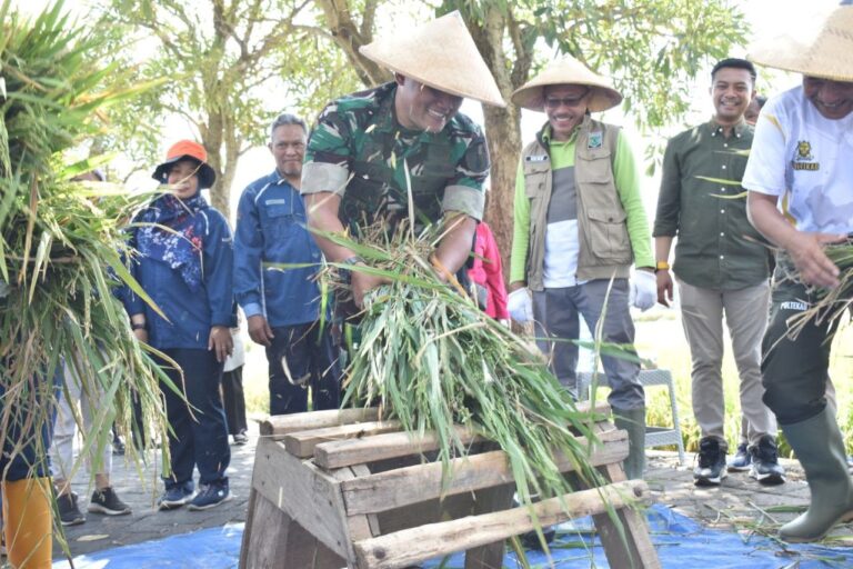 Dukung Sektor Pertanian Perkuat Ketahanan Pangan Dandim 0818/Malang  dan PJ Wali Kota Batu Panen Bersama