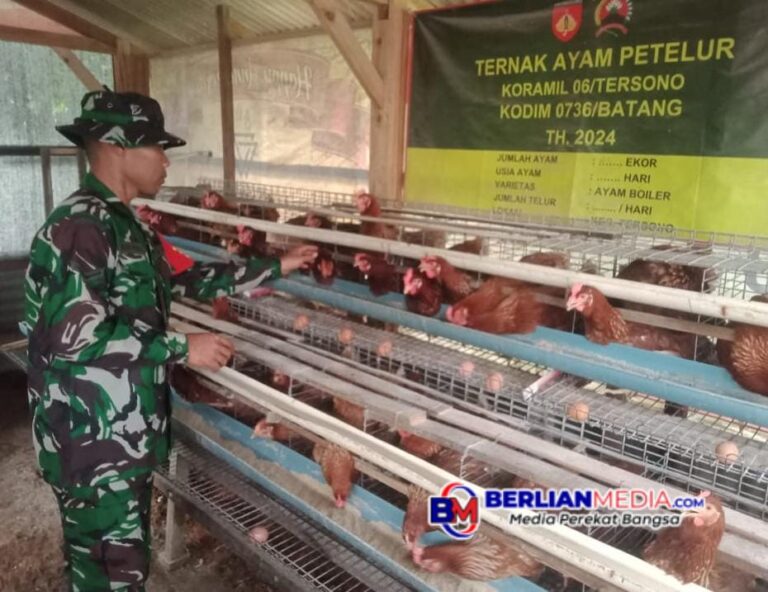 Kodim 0736/Batang Dukung Ketahanan Pangan dengan Budidaya Ayam Petelur