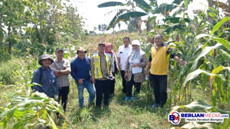 Balai Besar Pemali Juana Lakukan Survei Untuk Penyediaan Air Baku.