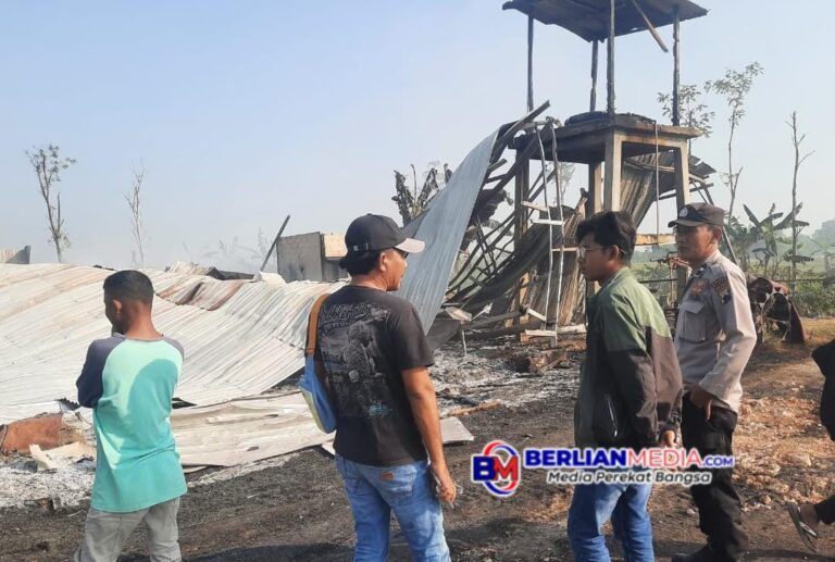 Kebakaran Kandang Ayam di Randublatung, Blora, Kerugian Diperkirakan Capai Rp800 Juta