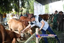 Pemprov Jateng_Vaksinasi PMK