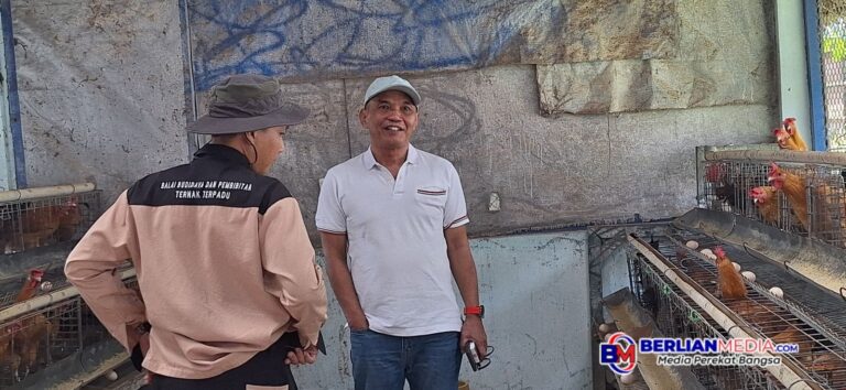 Sumanto Ajak Masyarakat Beternak Ayam karena Menguntungkan
