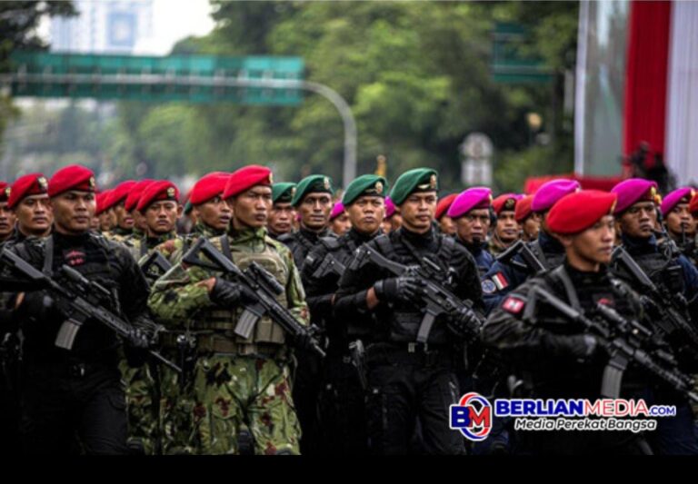 Dilema Mandat PBB dan Misi TNI