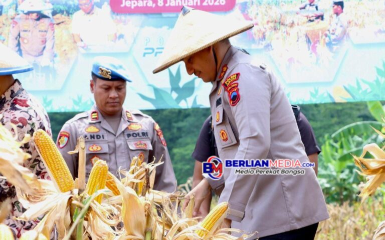 Wujudkan Swasembada Pangan, Polres Jepara Panen Raya Jagung Serentak di Donorojo