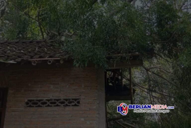 Pohon Tumbang Akibat Cuaca Ekstrem, Rumah Warga Tegalrejo Rusak Parah