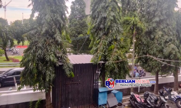 Cuaca Kota Semarang Hari Senin Ini Hujan Sore hingga Malam Berpotensi Disertai Petir, Kesiapsiagaan Perlu Ditingkatkan
