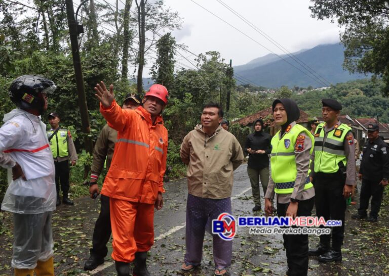 Jalur Kalirejo-Kalongan Ungaran Timur Lumpuh Akibat Hujan Angin, Pohon Tumbang Robohkan 3 Tiang Listrik