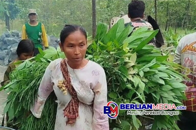 TMMD Ke-127 Kodim 0713/Brebes Sulap Jalan Berlumpur Desa Cikuya Jadi Rabat Beton 1,5 Km, Warga Tersenyum Bahagia