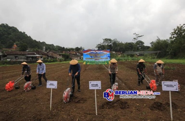Penanaman Jagung Serentak Kuartal I, Polres Semarang Tanam di Lahan 30,97 Hektare