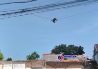 Cuaca Kota Semarang Hari Rabu Ini Dinamis, Gerimis Sejak Pagi di Sebagian Wilayah
