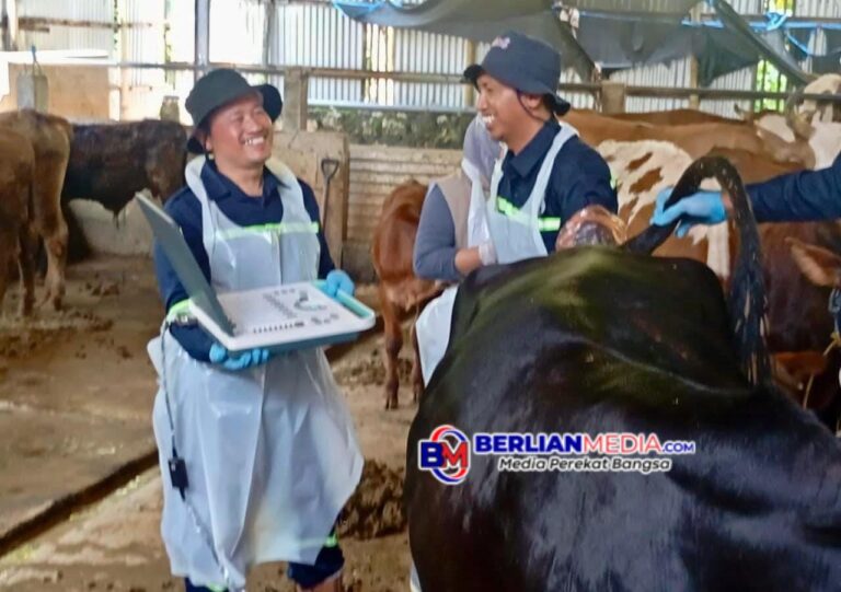 Healing, Layanan Kesehatan Hewan Gratis Pemprov Jateng Sasar Peternak Desa