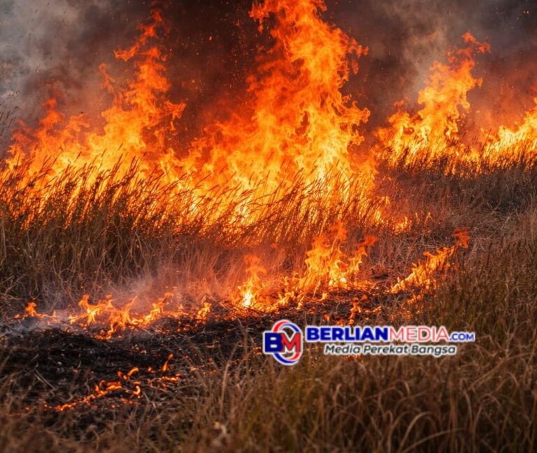 Waspada Kebakaran Hutan di Musim Kemarau, Polda Jateng Ajak Masyarakat Tingkatkan Kepedulian Lingkungan