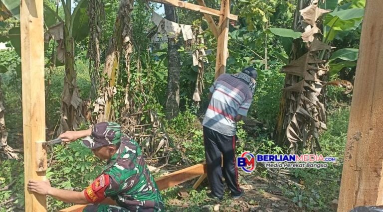 Semangat Gotong Royong, Babinsa Juwangi Bantu Warga Bangun Pondok Kebun